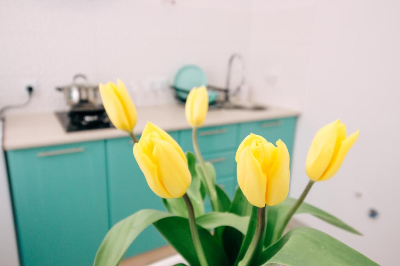 Appartement Квартира Біля Центральної Площі Перспективна 22 à Oleksandriia Extérieur photo